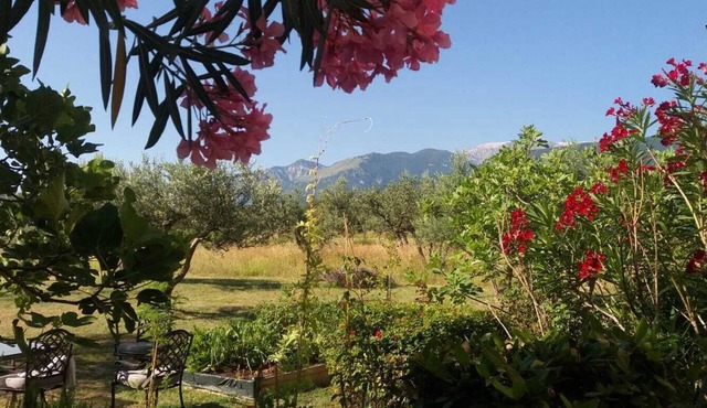 Beautiful historical stone farmhouse apartment, this year with a POOL!