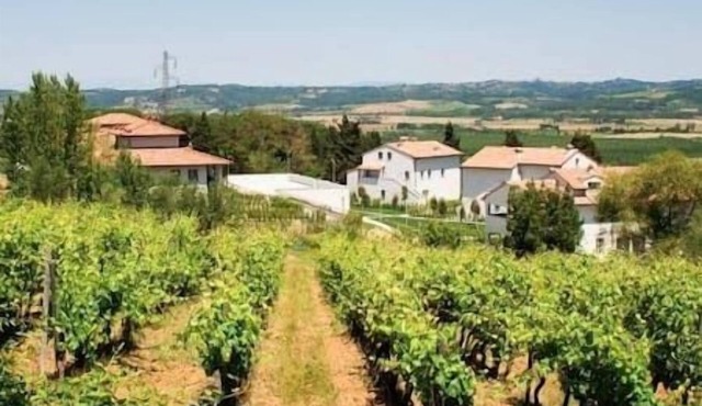 Borgo Alle > SEL-IND-2BD-SL6