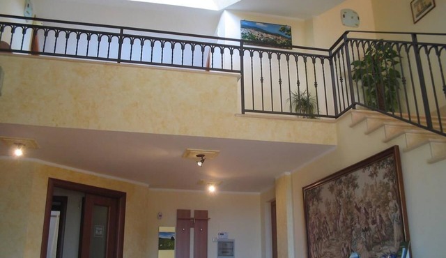 Bruno B&B