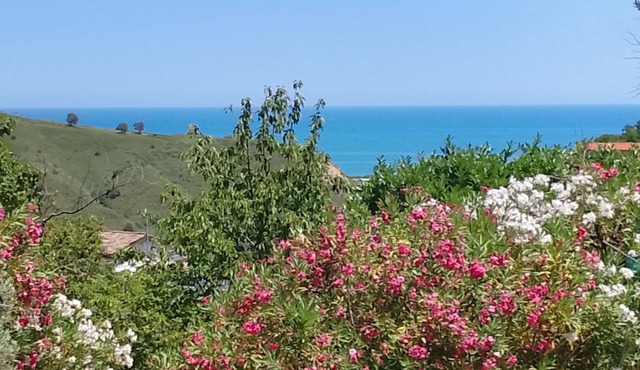 Casa Bianca