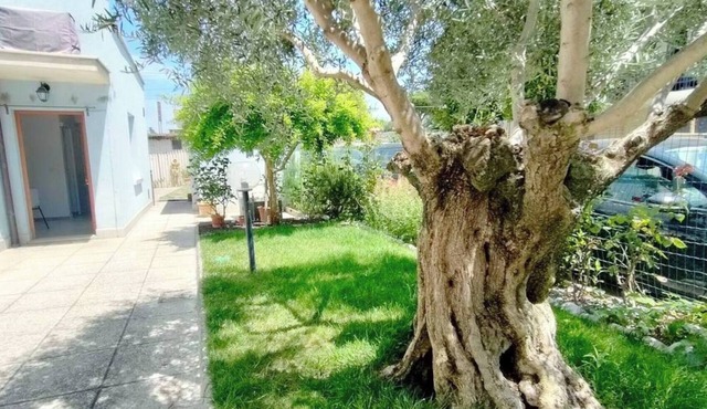 Casa Samy - One Bedroom Apartment, Sleeps 3