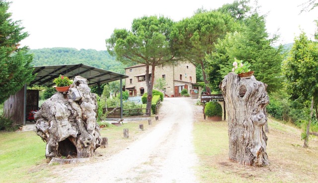 Casale Aiola