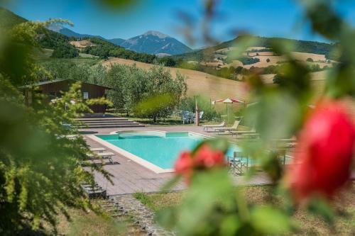 Casale Lucy