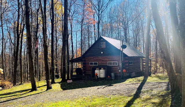 Charming Full Bed & 2 Twin Bed cabin w/AC, Heat, WiFi in lovely Cooperstown,