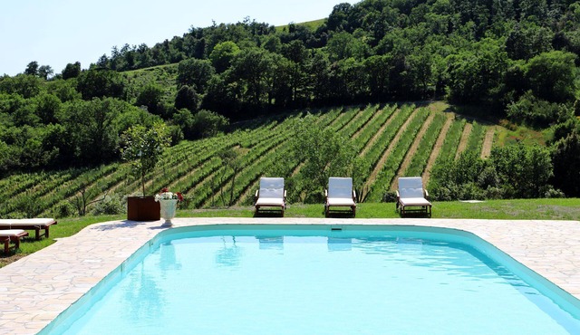 Charming villa w/private pool and vineyard views