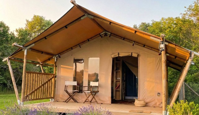 Comet Lodge - Luxury Suite