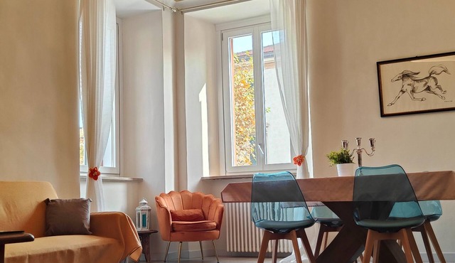Comfortable apartment