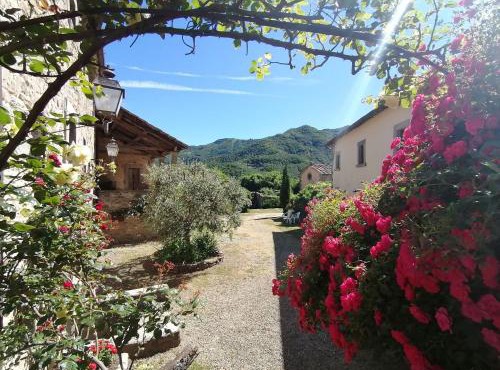 Comfy home in San Godenzo with Lake nearby