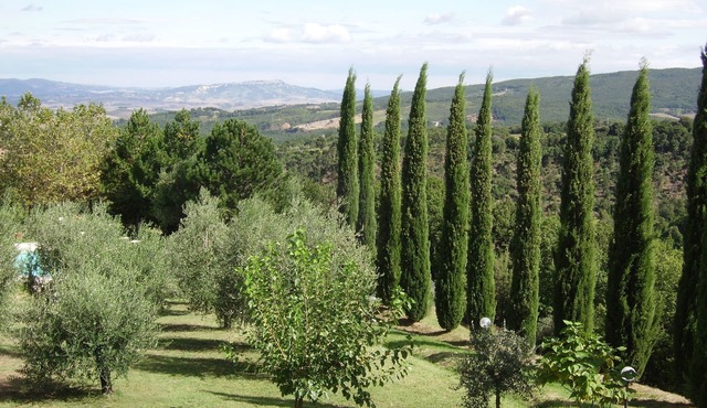 Countryside Villa with pool (8-12 beds)