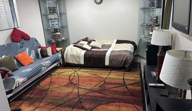Cozy 1 fully furnished studio. Close to RIT & UR