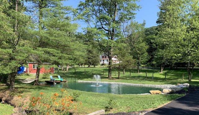 Cozy pond paradise