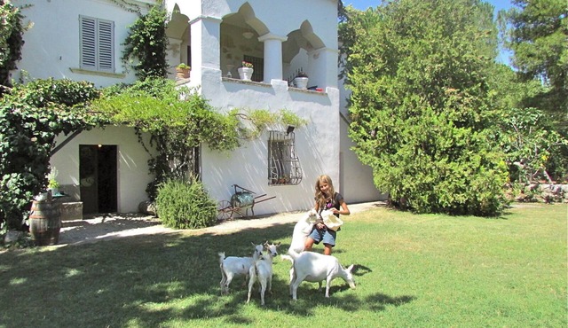 FARM HOLIDAYS VILLAGE (LARGE APARTMENT): charming cottages - mountains & beaches