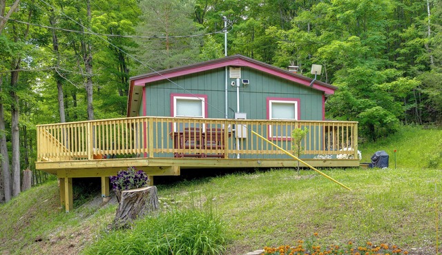Finger Lakes Retreat: Cohocton Cabin on 25 Acres!