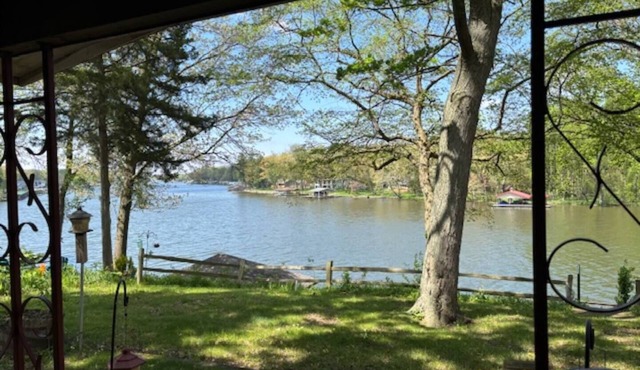 Firefly at Lake Shafer