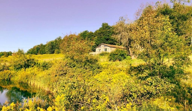 Hamden Hill House