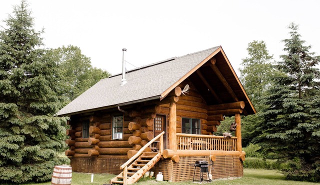 Handcrafted Riverfront Cabin on 10 acres