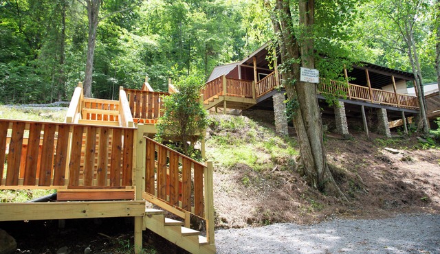Hideaway Holler Cabin