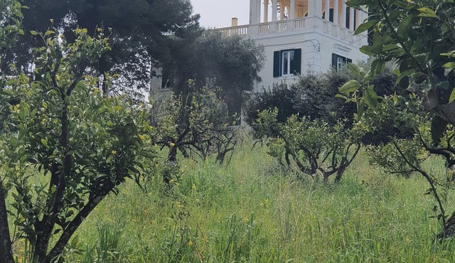 Historic villa immersed in the nature of the Gargano National Park