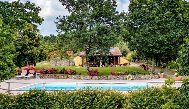 Holiday Home in Tuscany with Pool & Olive Trees