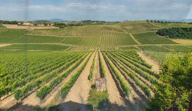 Holiday Home 'Leccio Relax Con Vista' with Private Garden, Wi-Fi and Air Conditioning
