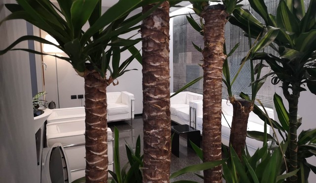 Hotel Daunia