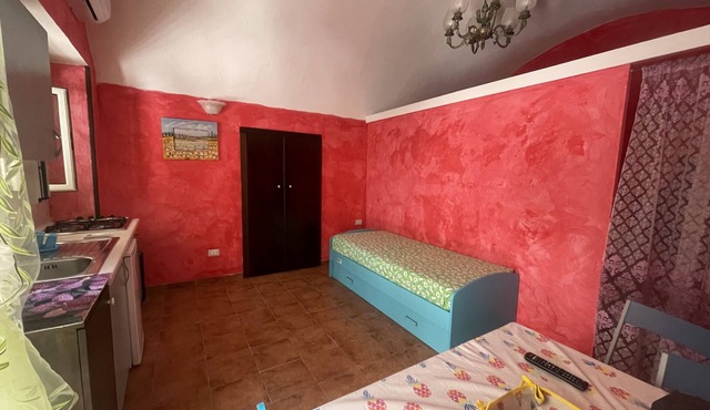 House in the nineteenth-century village