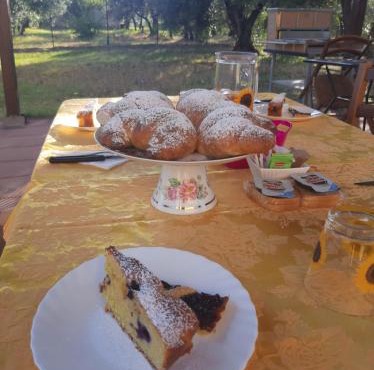 Il Girasole B&B