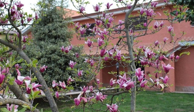 Il Sottosopra B&B