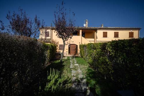 IMMERSA NEL VERDE