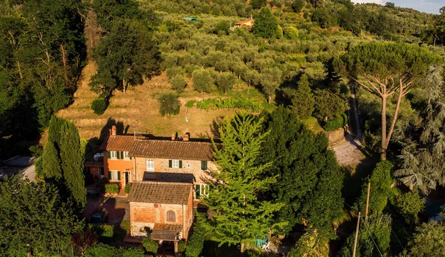 Independent Suite with its own entry and private terrace, halfway Lucca/Florence