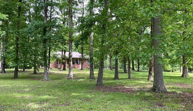 Isolated wooded home safe and quiet. Perfect for getting away from it all!