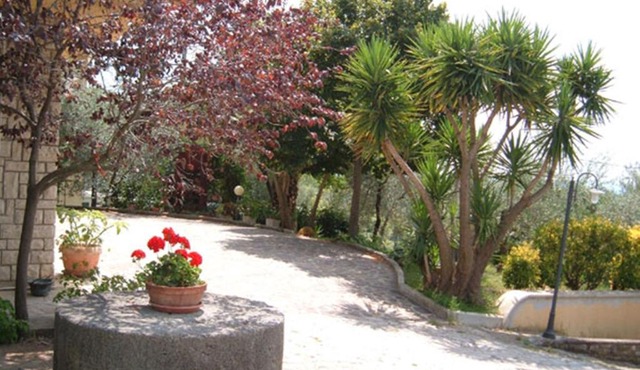 L'Uliveto