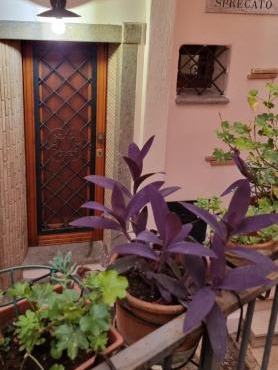 La casa di Agnese