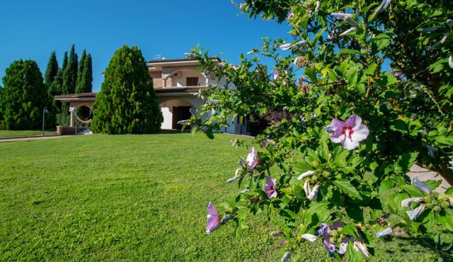 La Villa dei Tartufi - B&B