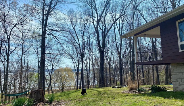 Lakefront Lake Barkley- Renovated Nature Retreat