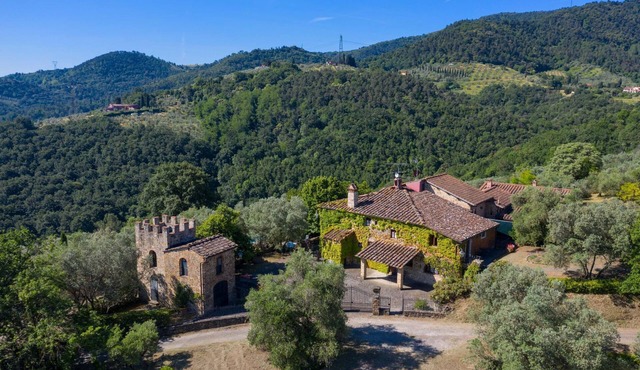 Large villa near Florence on Wine Estate