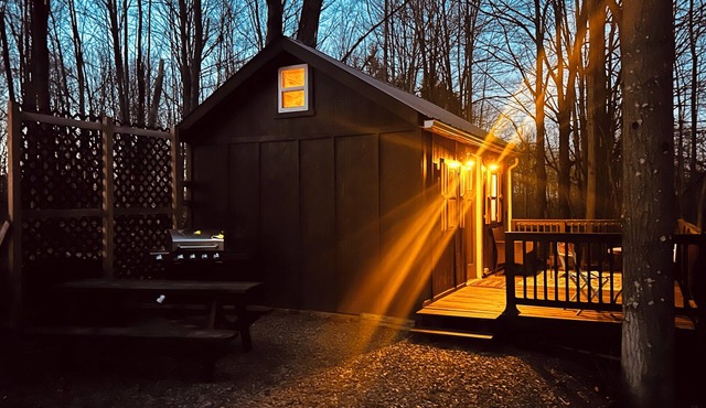Little Bear Cabin! A serene retreat to get away!