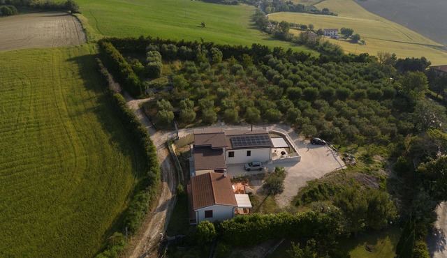 Little house among the olive trees