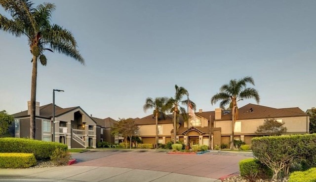 Look No More! 2 Comfortable 2BR Suites, Outdoor Swimming Pool, Pets Allowed!