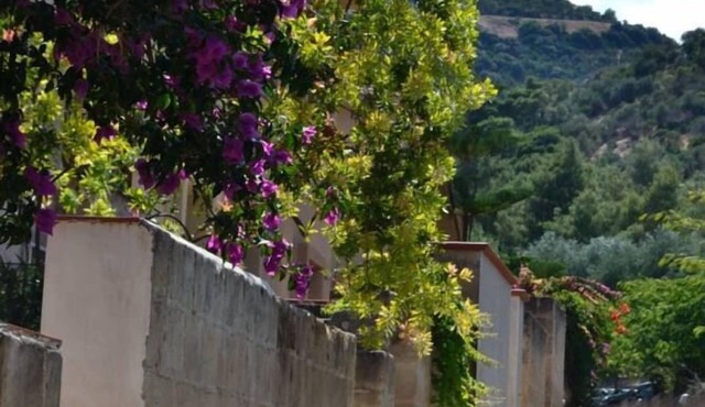 lovely weeks in Pugnochiuso - the pearl of Gargano