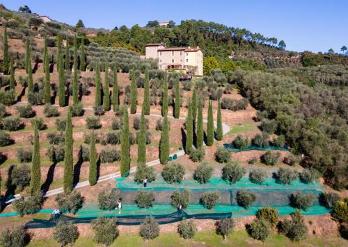 Luxury 6-bed Tuscan Villa near Lucca and Florence