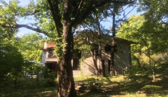 Magic Stone Villa in the Forest