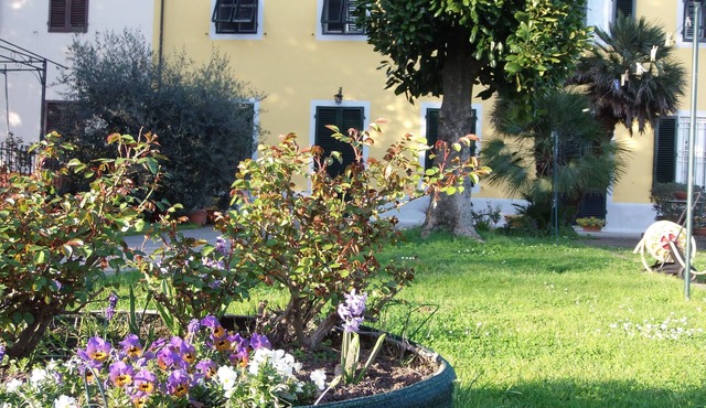 Magnolia House 3 km from Lucca