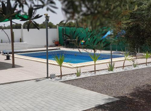 Oasis Pool in the Desert BBQ and Garden