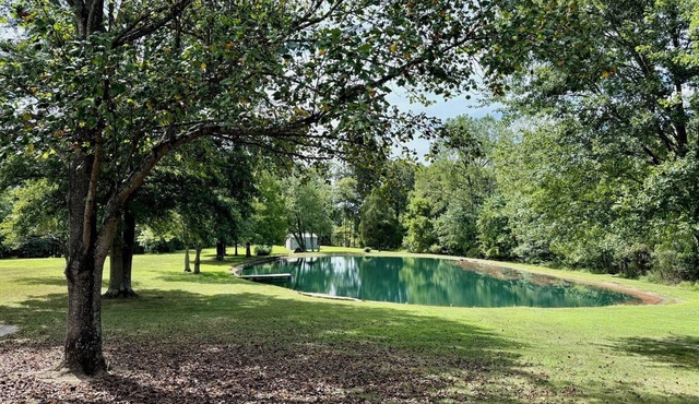 Oxbow Overlook: Ohio River Bend Views, Private Pond, Pets Welcome