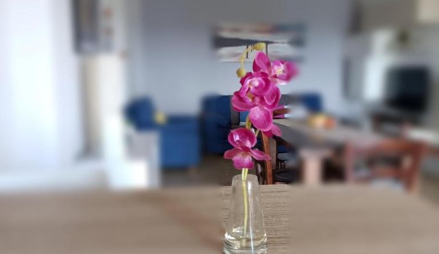 Panoramapointbnb