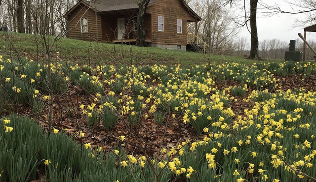 Peace, quiet and nature at your back door