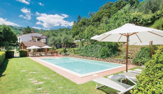 Pet friendly home in Sarripoli PT