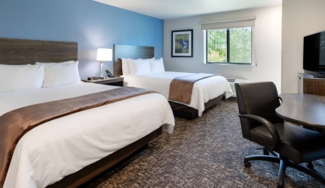 Pet-Friendly Room with Full Kitchen Near Local Shopping and Dining Attractions