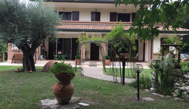 Picchio verde